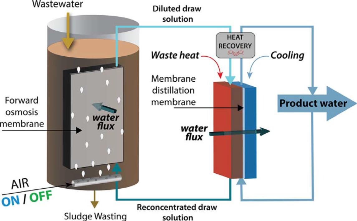Integrating an aerobic/anoxic osmotic membrane bioreactor with membrane distillation for potable reu