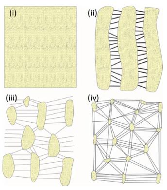 Progress and perspectives in PTFE membrane: Preparation, modification, and applications