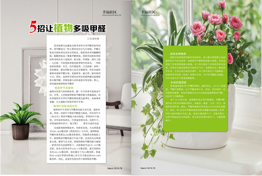杂志04期