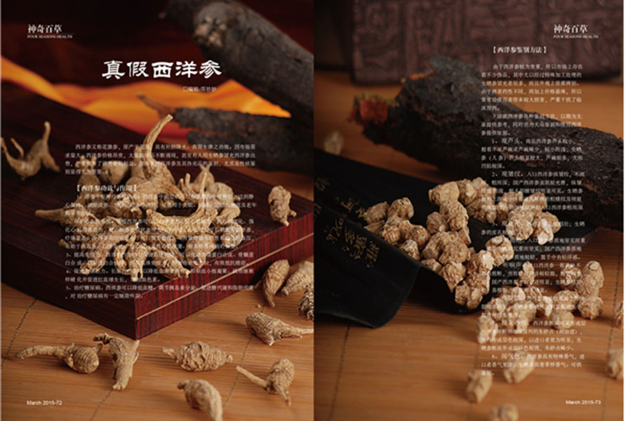 杂志04期