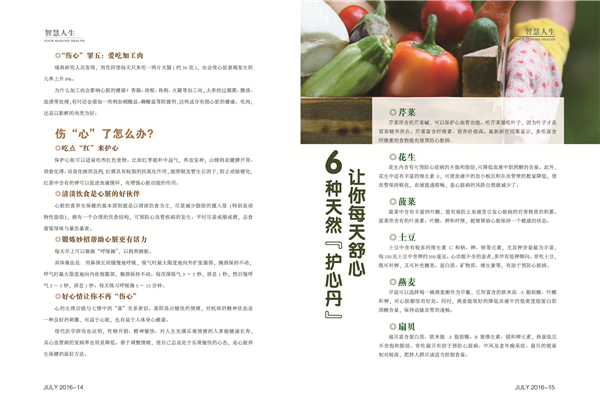 杂志07期