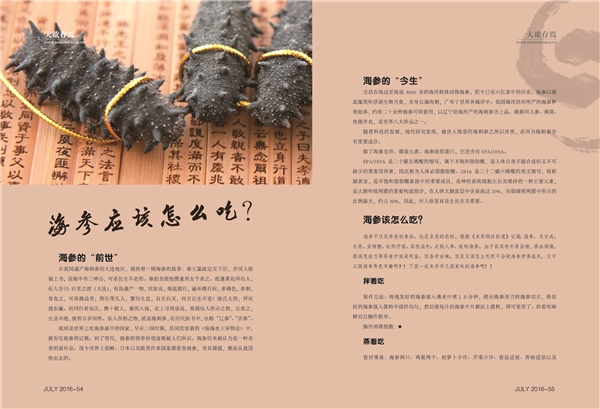 杂志07期