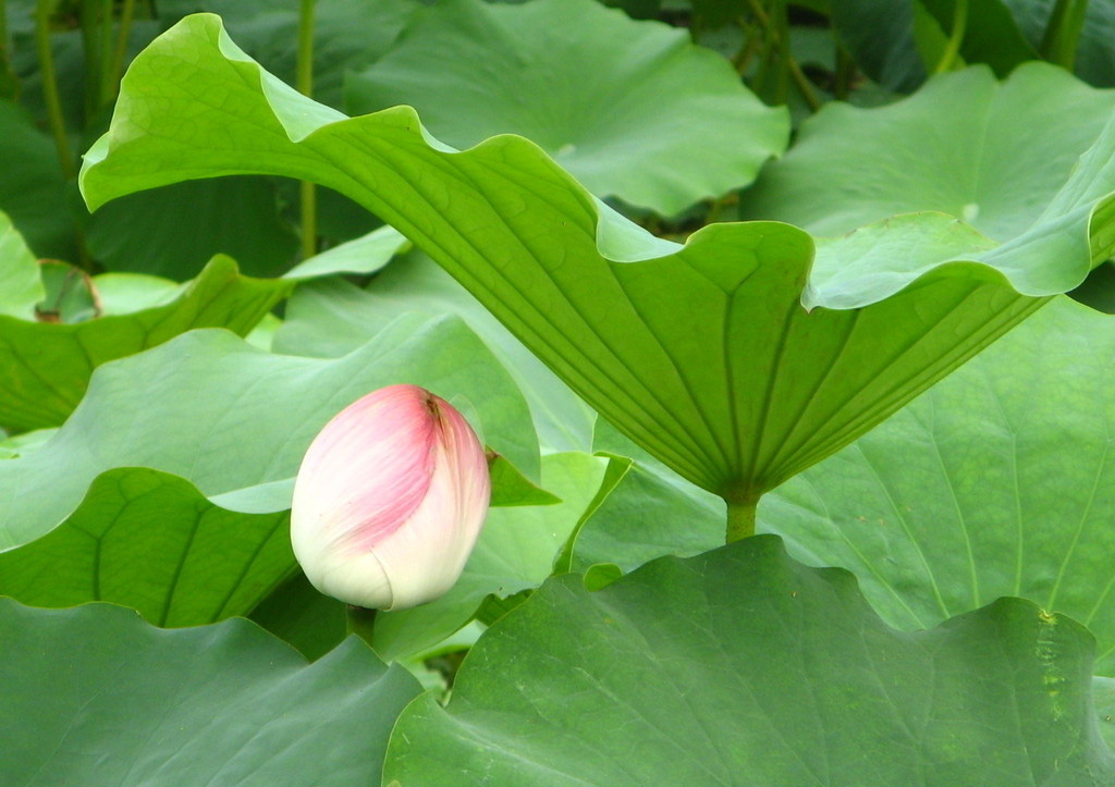 夏天快来了，送你一份减肥秘籍