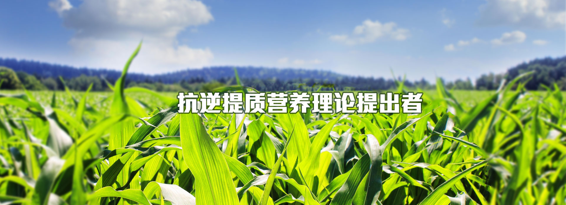水溶肥