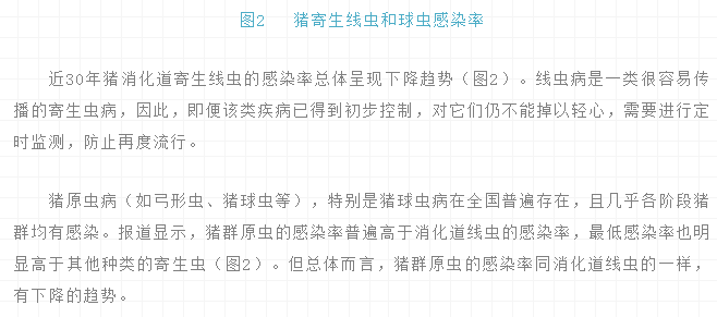 体表寄生虫感染率达73%！中国猪寄生虫流调大数据揭秘