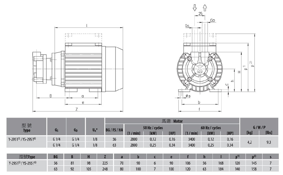 Y/YS-2951