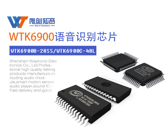  Speech recognition chip