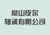 Changshan Peer Bearing Co., Ltd.