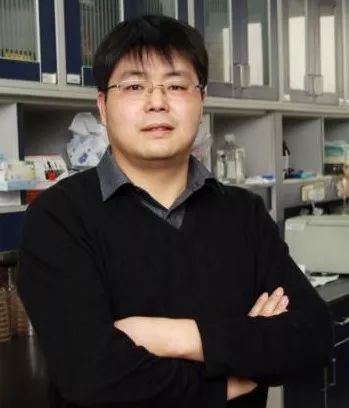 普洛麦格生物化学奖开始申请