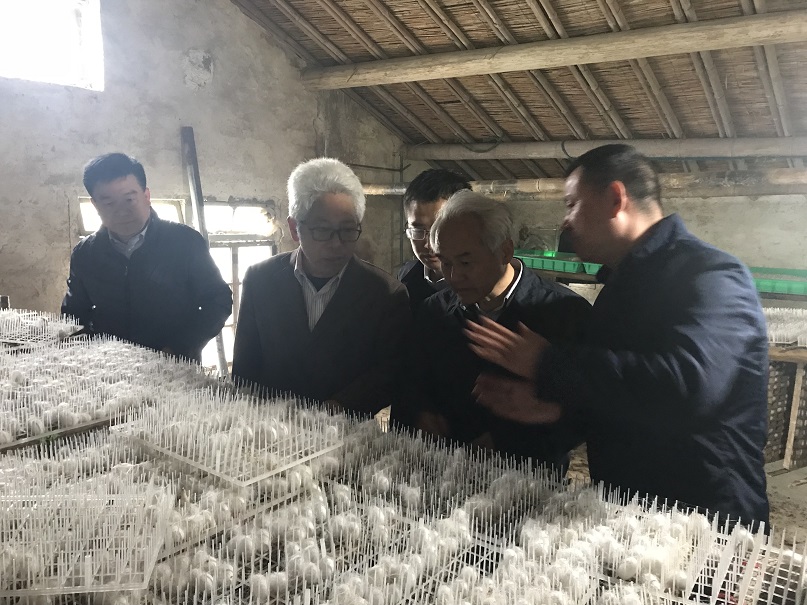参加原蚕人工饲料饲养实用化现场观摩及研讨会 参加原蚕人工饲料饲养实用化现场观摩及研讨会