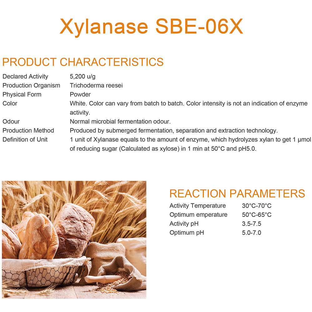 Xylanase SBE-06X