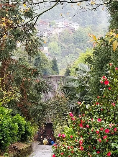 青城后山 都市人的后花园（再篇）