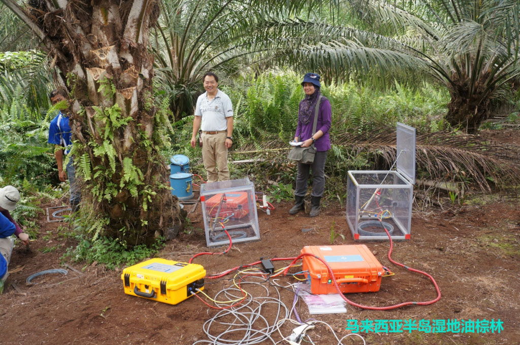 日本梁乃申博士用UGGA与土壤呼吸仪测定热带湿地CH4/CO2排放量