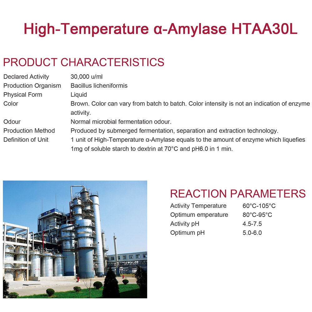 High-Temperature α-Amylase HTAA30L