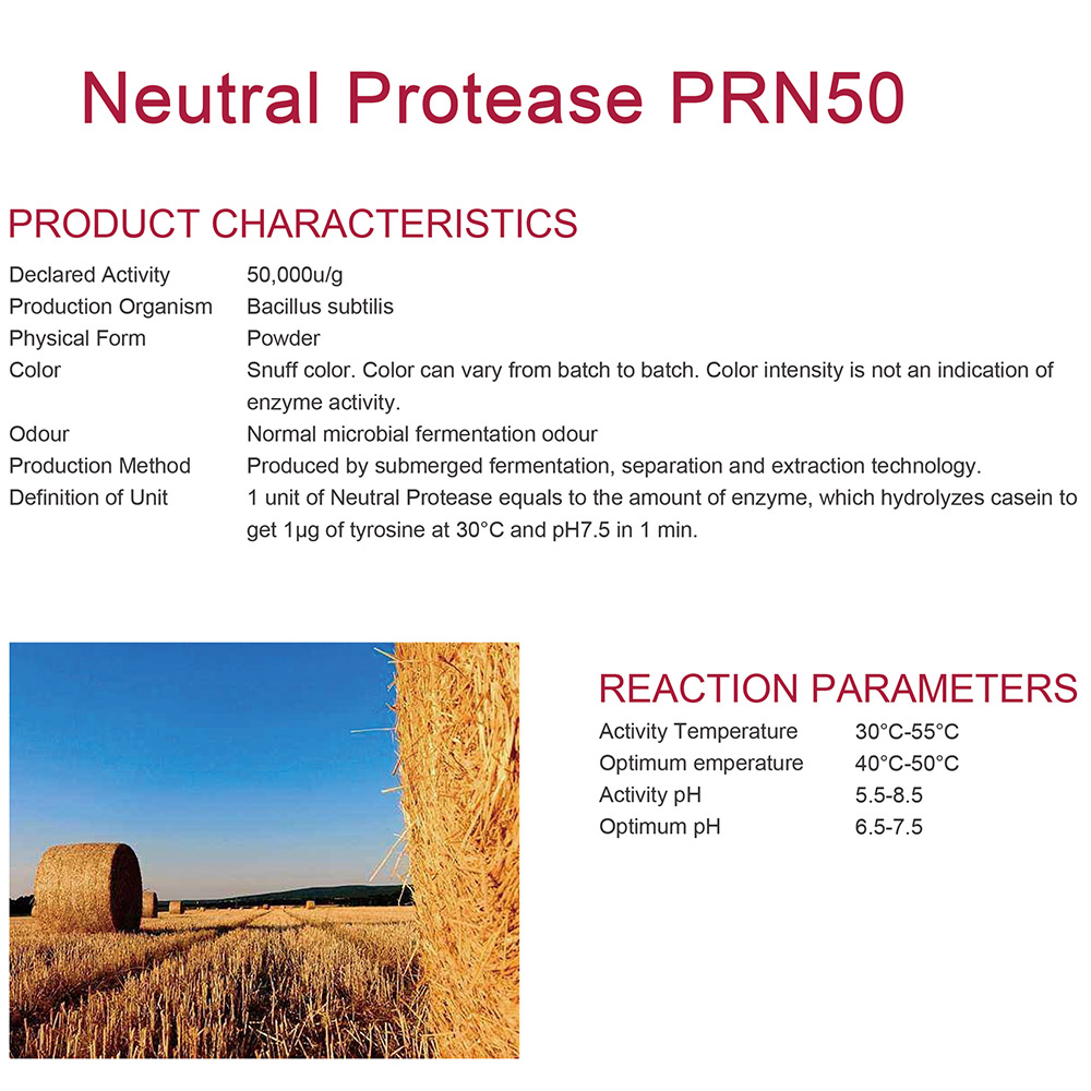 Neutral Protease PRN50