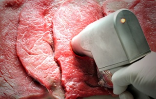 应用ASD LabSpec®4进行肉类品质分析