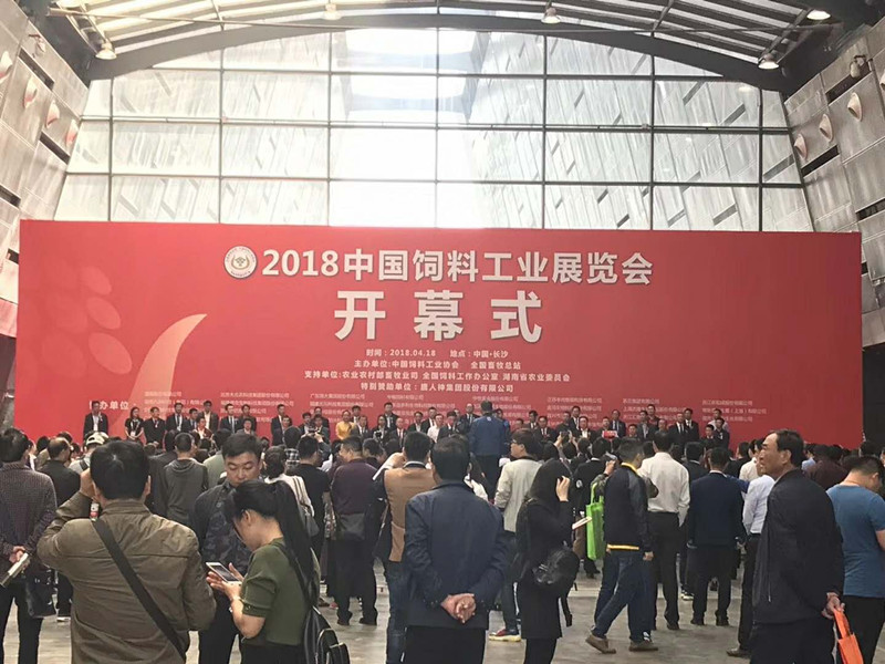 圆满落幕,湘聚完美! 圆满落幕,湘聚完美!
