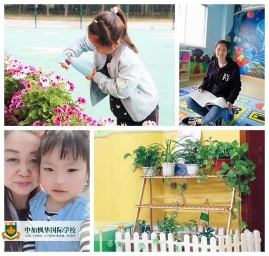 爱探索、乐创造、悦分享、趣生活，就在枫华国际幼儿园