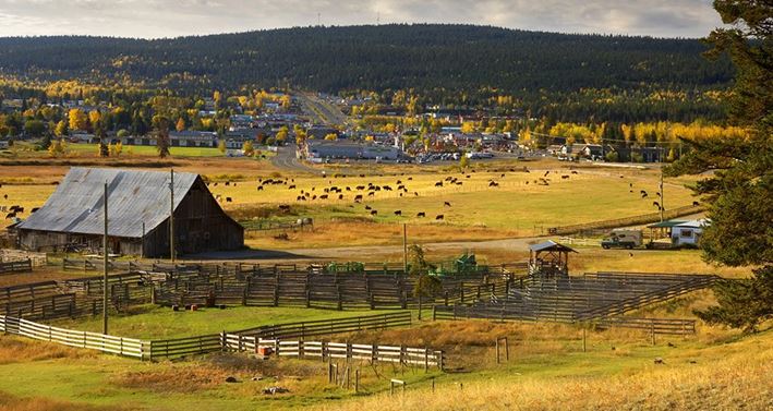 卡里布齐科廷教育局（School District 27 Cariboo-Chilcotin）