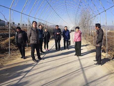 蚕桑创新团队到岱岳区开展冬季科技指导服务活动 蚕桑创新团队到岱岳区开展冬季科技指导服务活动