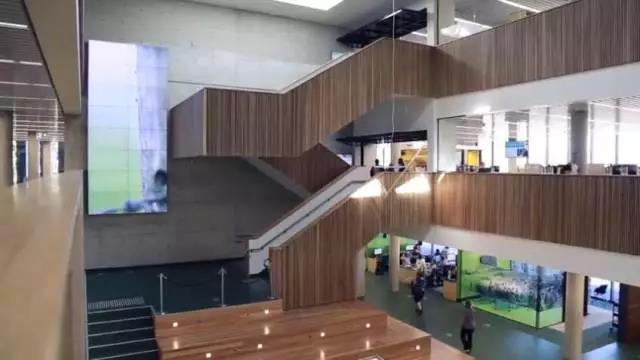Southern Cross University南十字星大学 Southern Cross University南十字星大学