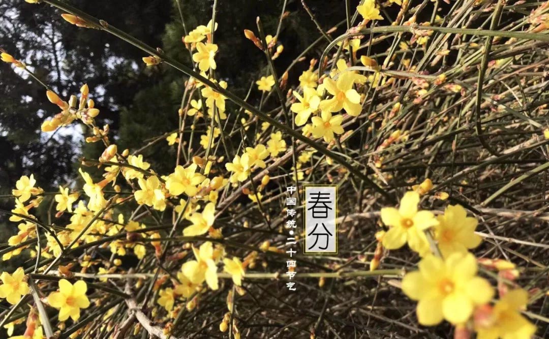 省酸增甘 以养脾气︱春分 省酸增甘 以养脾气︱春分