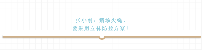 99%的养猪人都错了！专家告诉你真正对的灭蝇方法！