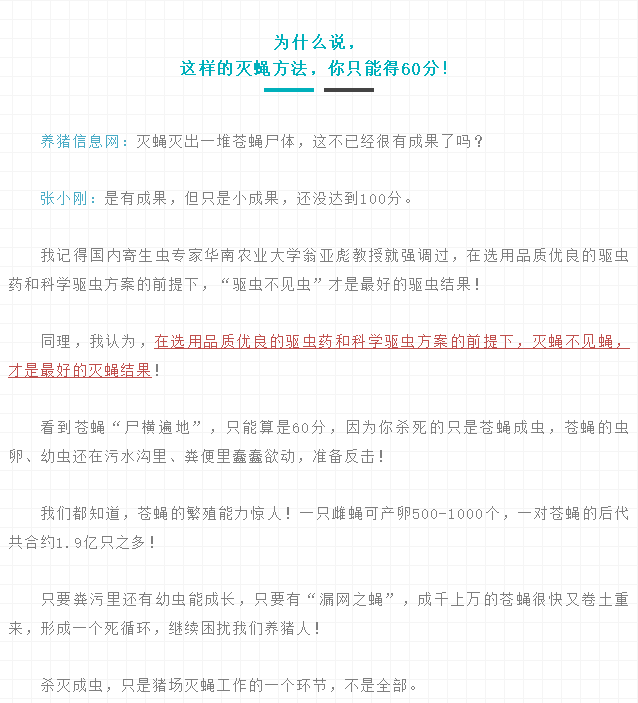 99%的养猪人都错了！专家告诉你真正对的灭蝇方法！