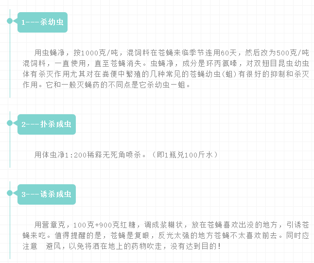 99%的养猪人都错了！专家告诉你真正对的灭蝇方法！