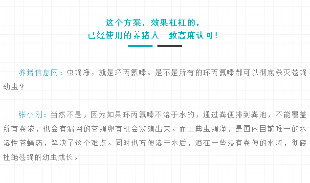 99%的养猪人都错了！专家告诉你真正对的灭蝇方法！