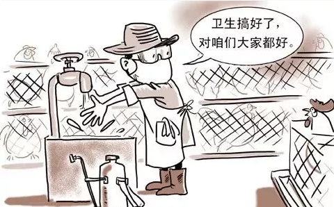 手握新兽药证书和发明专利，这个消毒剂20年内无人可拷贝