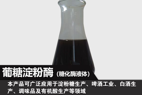 糖化酶在食品行业中的应用 糖化酶在食品行业中的应用