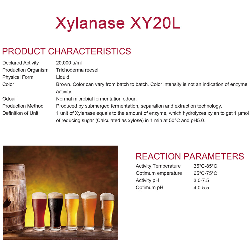 Xylanase XY20L