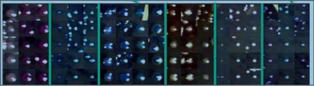 应用高光谱成像技术鉴定固体显色培养基菌落