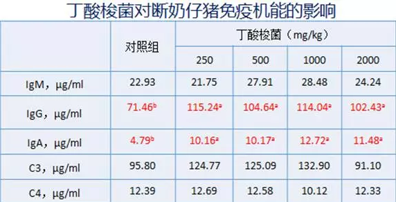 丁酸梭菌在替抗集成解决方案中的应用实践——王丽博士在BFC会议上的报告