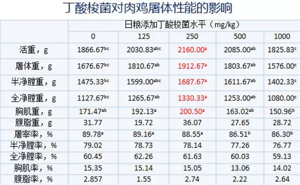 丁酸梭菌在替抗集成解决方案中的应用实践——王丽博士在BFC会议上的报告