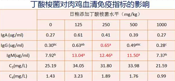 丁酸梭菌在替抗集成解决方案中的应用实践——王丽博士在BFC会议上的报告