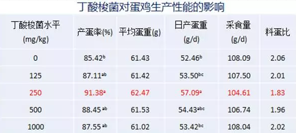 丁酸梭菌在替抗集成解决方案中的应用实践——王丽博士在BFC会议上的报告