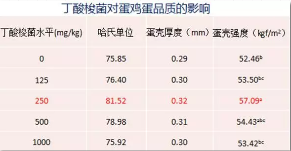 丁酸梭菌在替抗集成解决方案中的应用实践——王丽博士在BFC会议上的报告