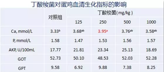 丁酸梭菌在替抗集成解决方案中的应用实践——王丽博士在BFC会议上的报告