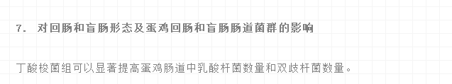 丁酸梭菌在替抗集成解决方案中的应用实践——王丽博士在BFC会议上的报告