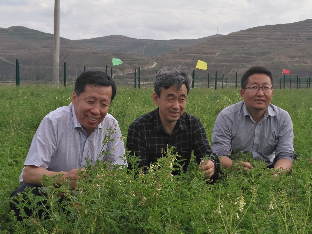 省中药材行业协会种植养殖专业委员会与中国中药协会中药材种植养殖专业委员会成功对接