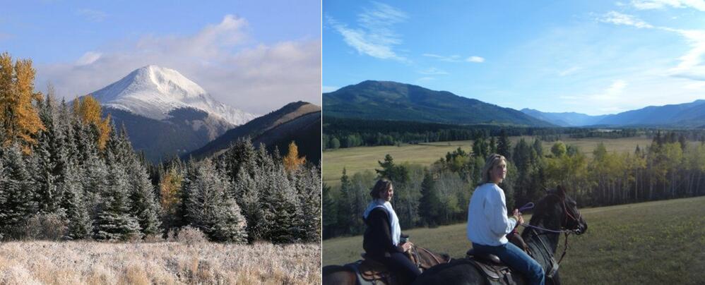 东南库特尼教育局(School District 5 Southeast Kootenay) 东南库特尼教育局(School District 5 Southeast Kootenay)