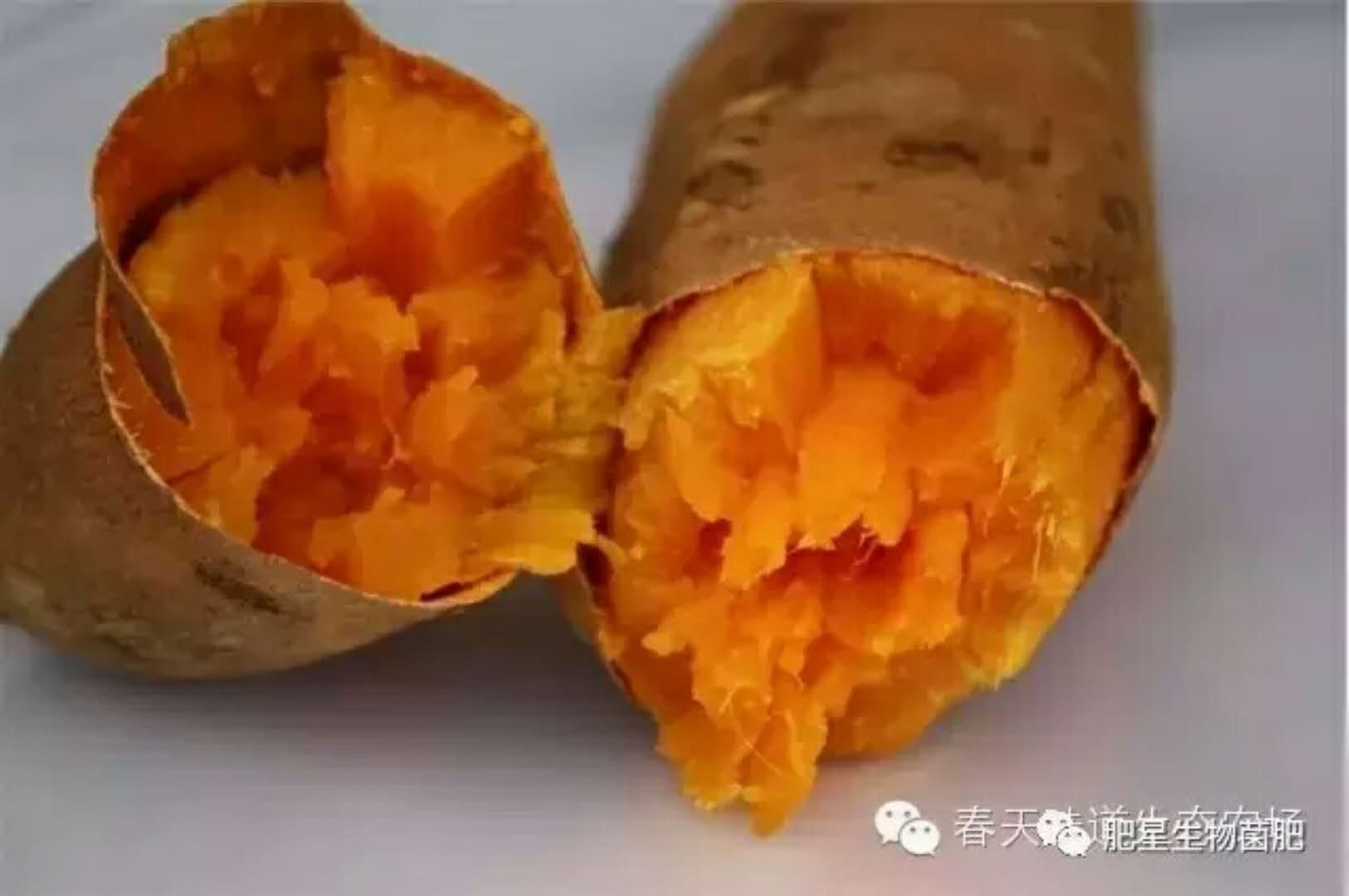 誰家的紅薯咋這么好吃? 誰家的紅薯咋這么好吃?