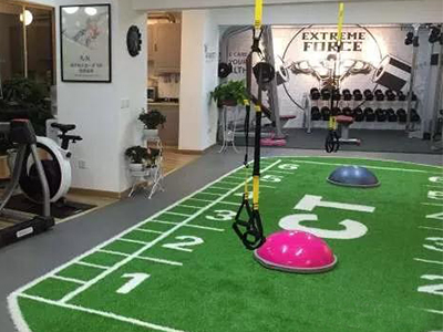 Have you heard of the "Air Garden CT Theme Private Sports Hall"?