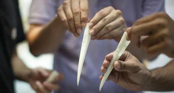 南京动物园丹顶鹤断上嘴唇,3D打印钛合金为其修复~ 南京动物园丹顶鹤断上嘴唇,3D打印钛合金为其修复~