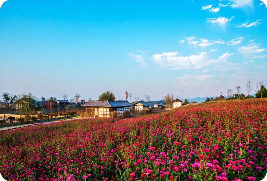 驿都花海