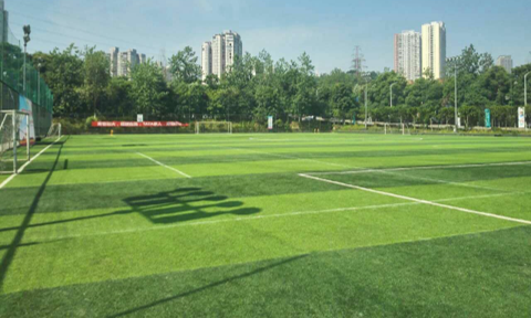 渝北區欣享國際足球中心