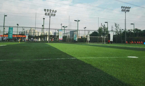渝北區欣享國際足球中心