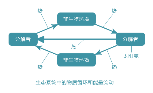 技术思路 技术思路